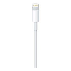 Lightning to USB Cable (1m) Lightning to USB Cable (1m)